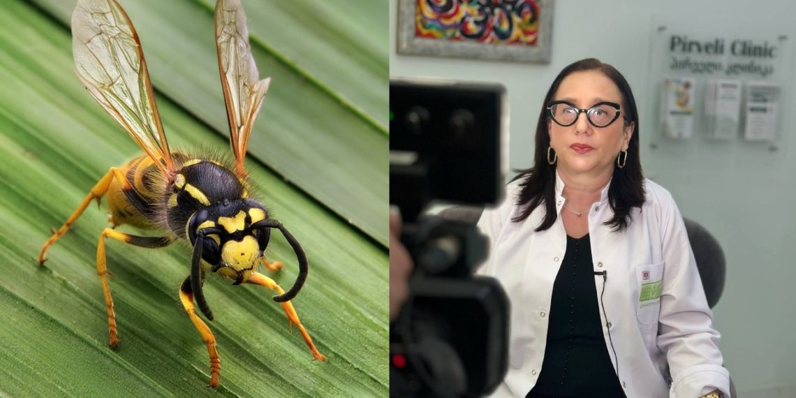 „ახალგაზრდა მამაკაცი დაიღუპა კრაზანის კბენის შედეგად გამოწვეული ანაფილაქსიური შოკით… ნუ აკეთებთ ამას” – ქართველი ექიმი მოსახლეობას აფრთხილებს