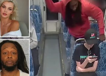 23 წლის უკრაინელი გოგონას მკვლელობაში ბრალდებულმა პირველი ჩვენება მისცა