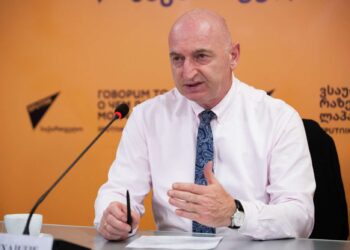 ემუქრება თუ არა ჰანტავირუსი საქართველოს – ივანე ჩხაიძის პასუხი